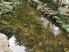 -成都市活水公园