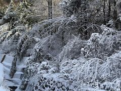 -大明山自然探索公园