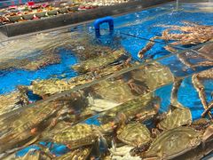 -小平岛开海水饺(皇姑店)