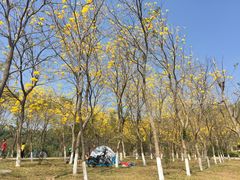 -东莞市大岭山森林公园