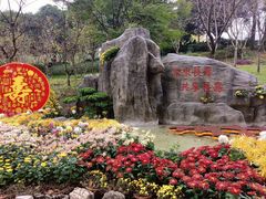 -南山植物园