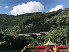 -西双版纳原始森林公园