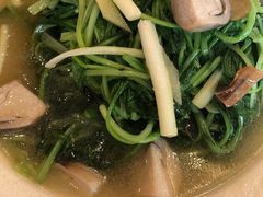 -民族饭店-四季餐厅