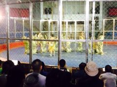 秦岭野生动物园-西安秦岭野生动物园