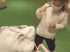 -zoonana室内动物园(东方福来德店)