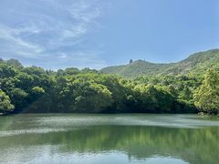 -杭州半山国家森林公园