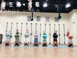 -梵歌瑜伽