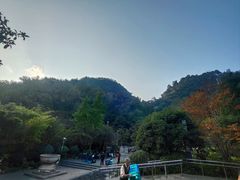 -黔灵山公园