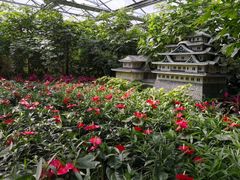 -南宫五洲植物乐园