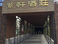 -紫轩葡萄酒庄园