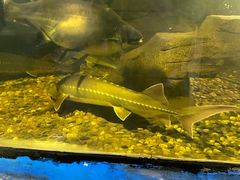 -泉州海丝野生动物世界