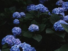 -常州古运河南大街文化旅游区-人民公园