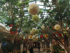 -拉斯维加斯永利酒店