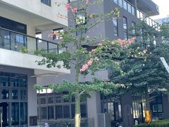 -东莞松山湖万象汇