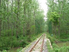 -合肥滨湖国家森林公园