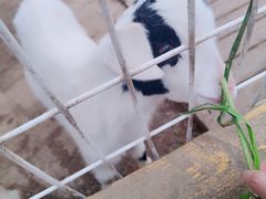 -武汉紫薇都市田园