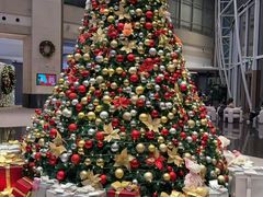 -上海外滩茂悦大酒店