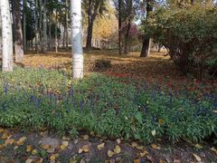 -中家鑫园温泉酒店鑫悦汤泉