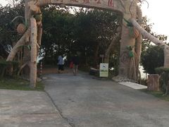 -放鸡岛生态旅游国际度假区