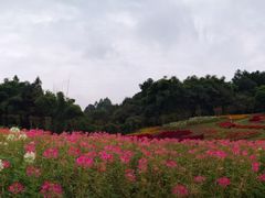 -保利石象湖景区