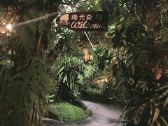 -绿光森林餐厅