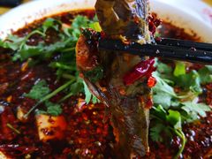 麻辣三角蜂-胖大姐黄辣丁鱼庄(新津店)