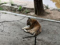 -大连森林动物园