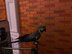 -成都浩海立方海洋公园