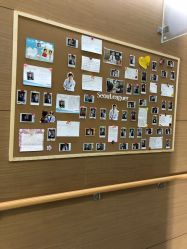 -上海首尔丽格医疗美容医院