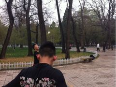 -迎泽公园