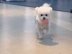 -GYMPLUS私教健身会馆(大悦城店)