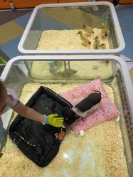 -meland亲子乐园•派对•研学(苏州悠方购物中心店)