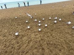 -青海湖二郎剑景区