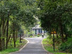 -午潮山国家森林公园