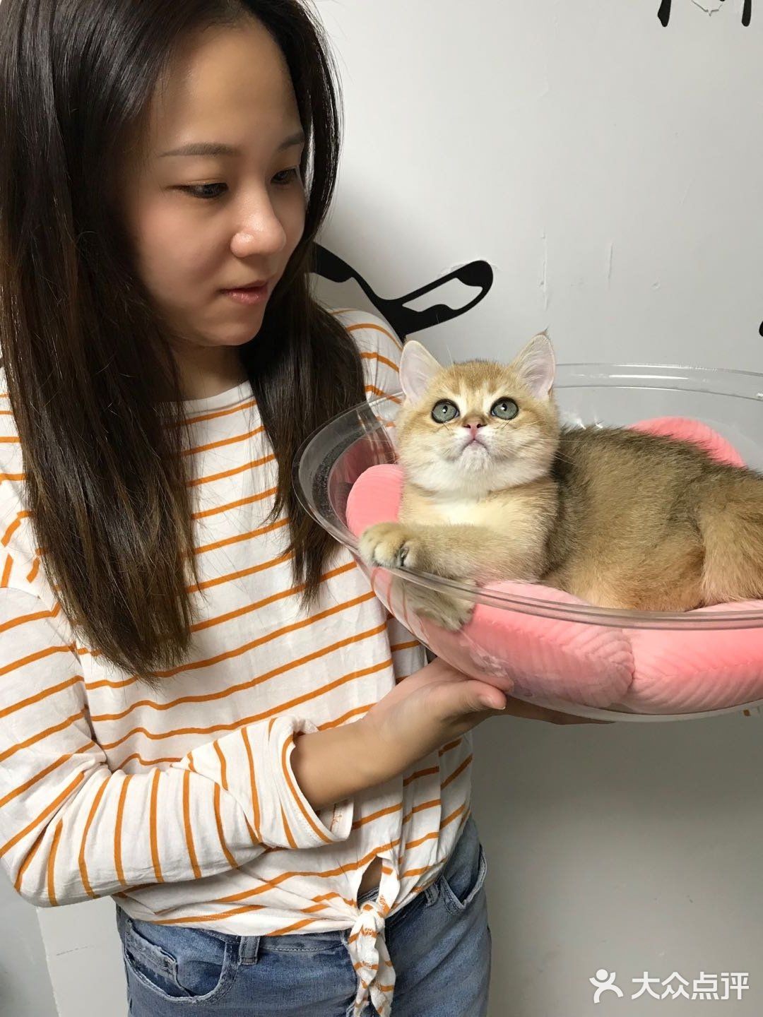 🐱我也变成铲屎官一枚了..小宝贝跟我肥家le…