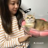 🐱我也变成铲屎官一枚了..小宝贝跟我肥家le…