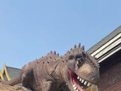 -呀路古热带植物园