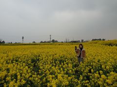 -白鹭湾湿地公园