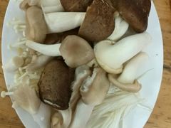 -15年老字号鑫鑫猪肚鸡·椰子鸡海南火锅(兴隆华侨农场店)