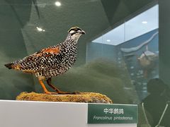 -国家自然博物馆