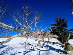 -大秃顶子山(雪谷店)