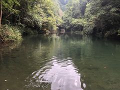 -石台牯牛降景区