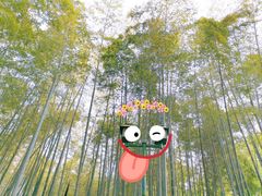 -杭州植物园