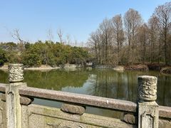 -上海海湾国家森林公园