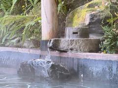 -腾冲洞山温泉村