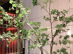 -江户烧肉(高德店)