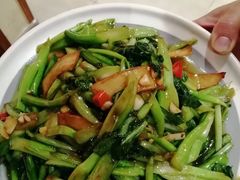 -鸽子窝(青塔店)