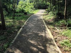 -青龙山国家森林公园