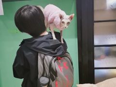 -猫色咖啡·猫咖