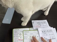 -博特宠物医院24h犬猫全科.骨科·异宠
